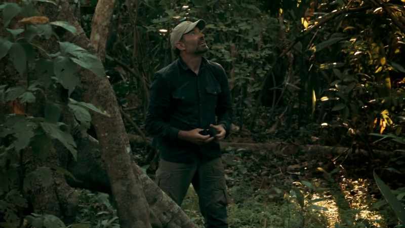 ONE OF THE BIGGEST KILLERS IN JUNGLE IS DEADFALL