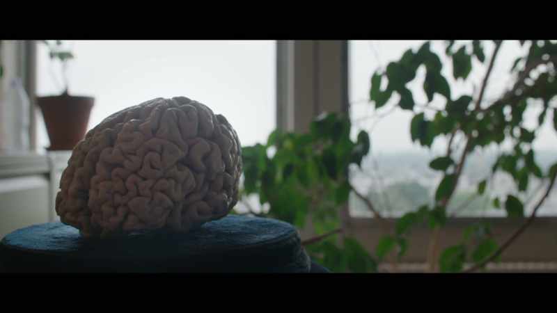 One of the difficulties with studying consciousness