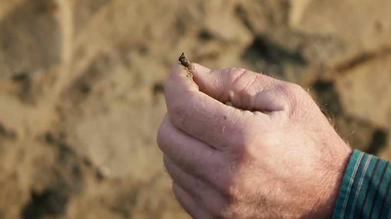 ONE OF THE FIRST FOSSILS I EVER FOUND