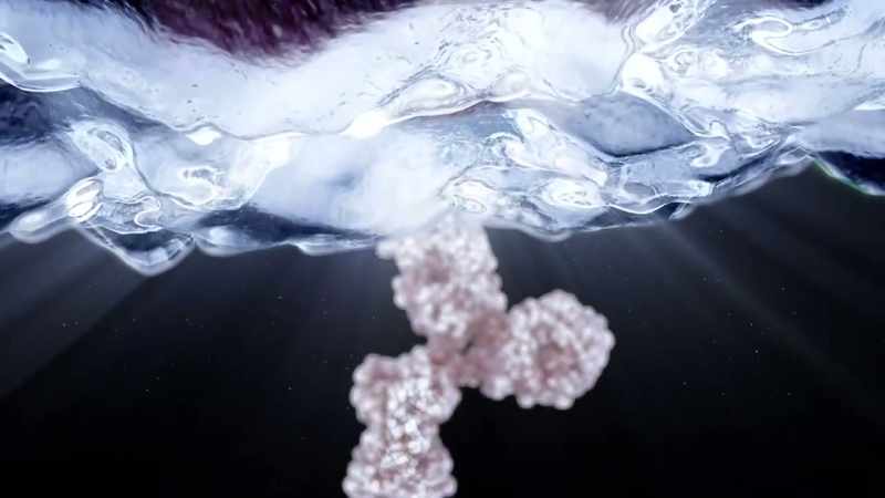 One of the most common is called immunoglobulin E