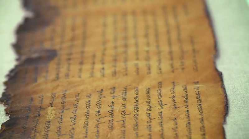 One of their texts, the war scroll