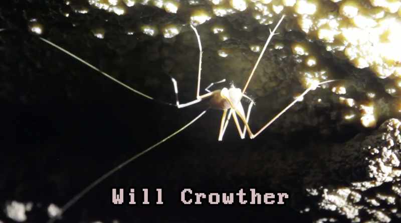 One of them was Will Crowther, a programmer and caver