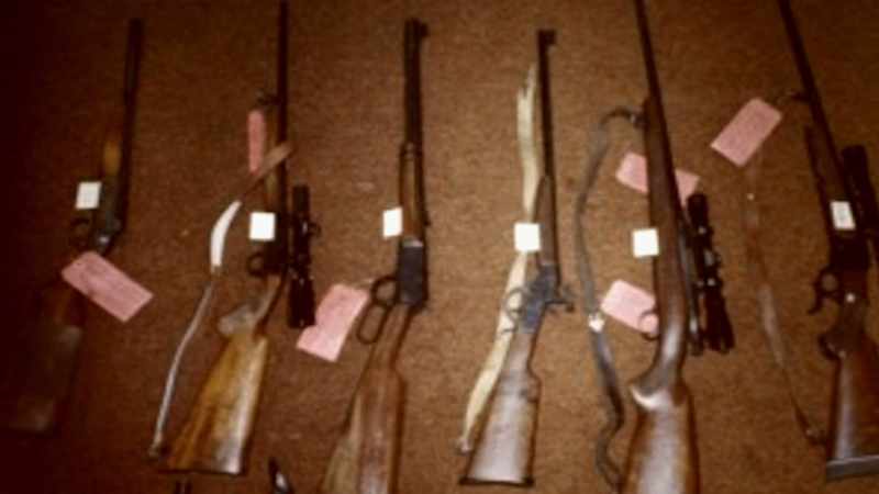 One of which was the Ruger Mini-14