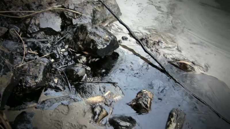 ONE OPTION THAT COULD BE FEEDING THIS FIRE IS OIL