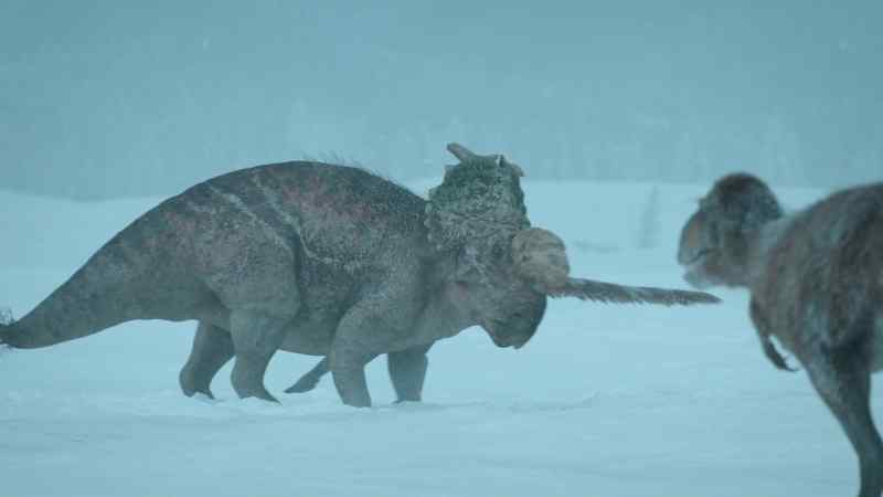One pachyrhinosaur has lost the battle