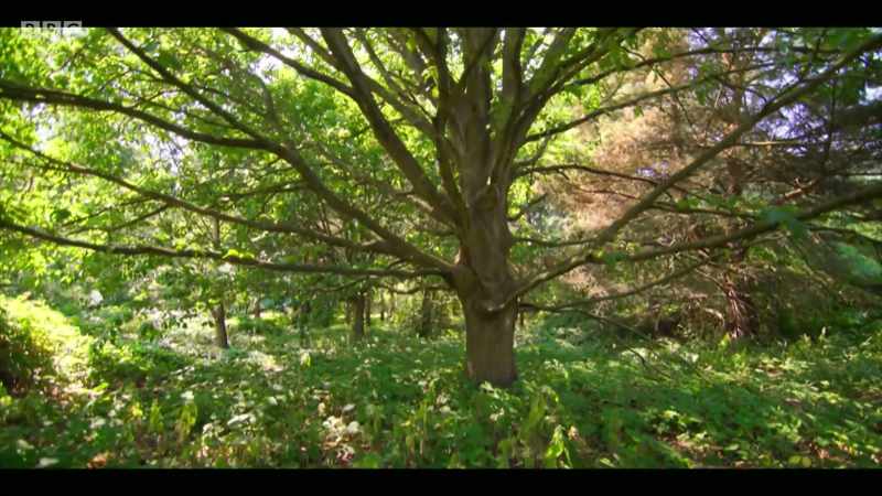 One thing we do know is that if nature is given the chance