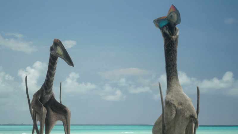 One well-aimed peck from her beak