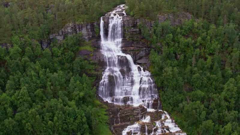 Only one other animal in the taiga forest