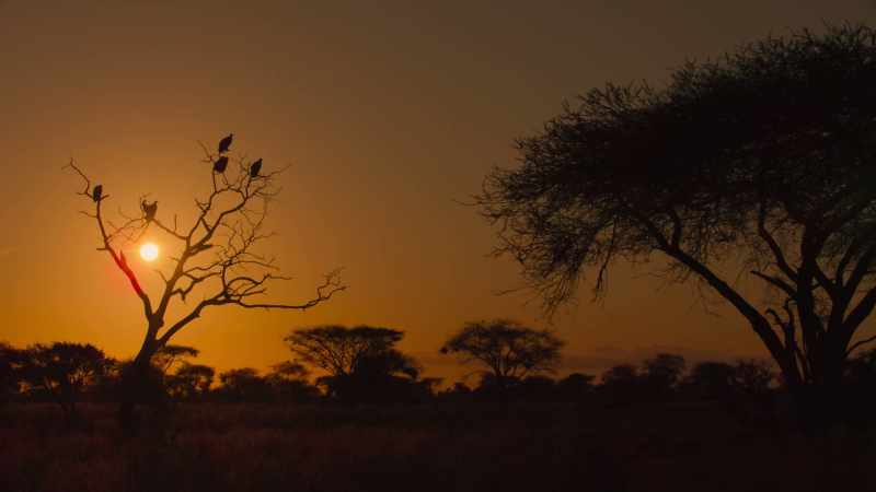 Only those that have adapted to its fast-changing conditions