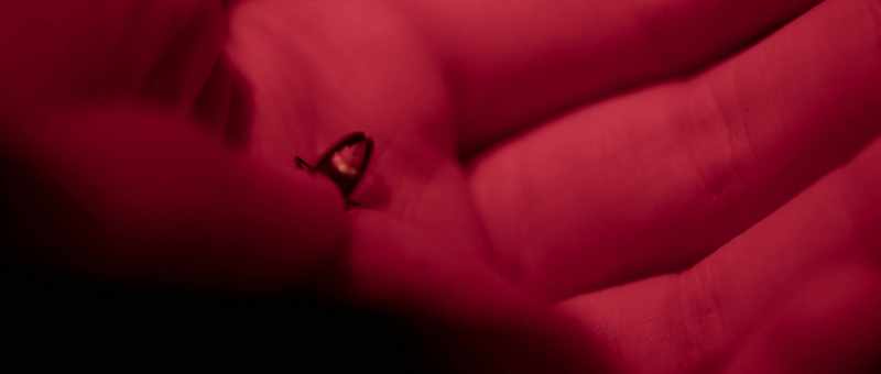 Only two-- two little lines light up, almost like an equals sign