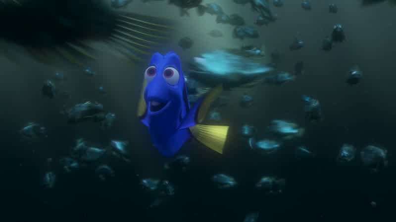 Oof! - Hey! - Dory!