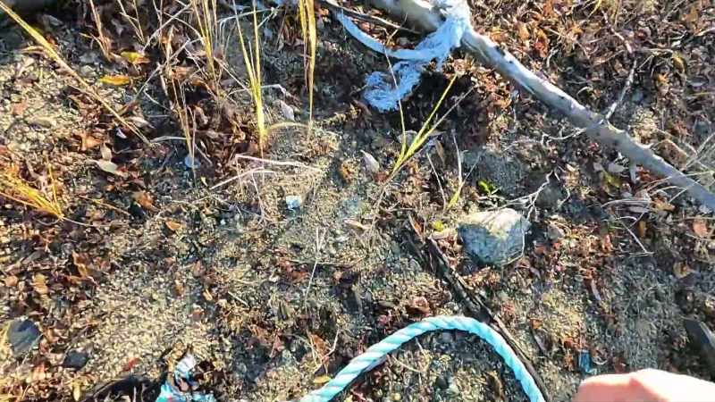 Ooh, and even more interesting... a rope
