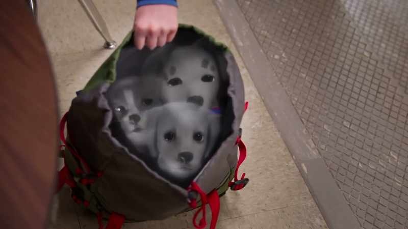 Ooh! Ow, ow, watch it! -The pups!