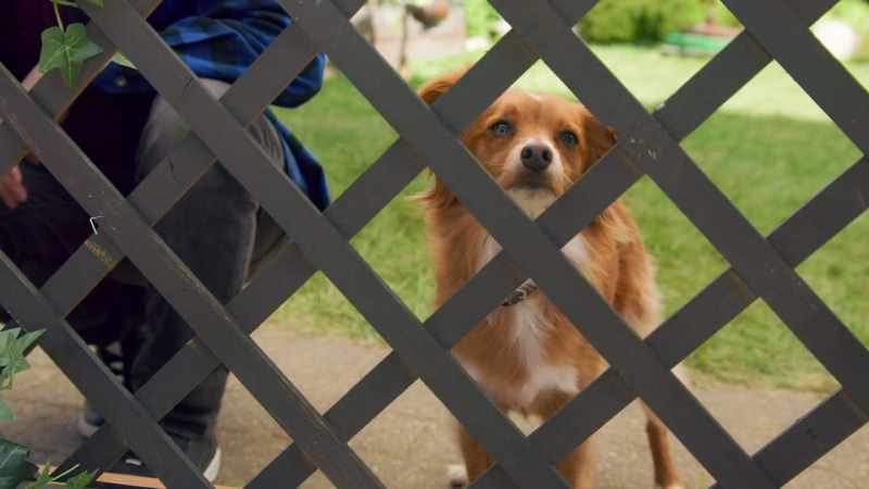 Ooh. Sneaking into a yard isn't exactly Breaking Bad