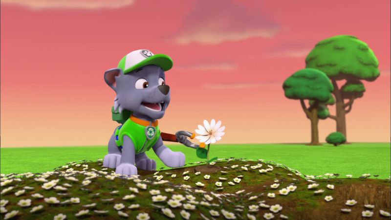 Oops. Upsy-daisy, daisy
