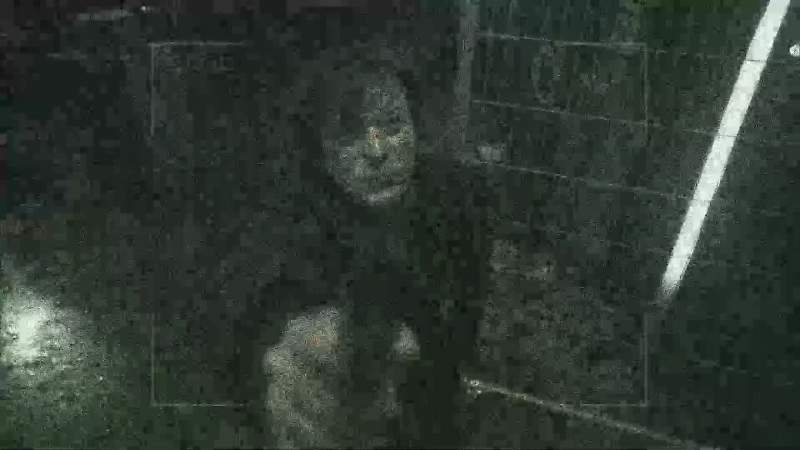 Open the fucking door now Please