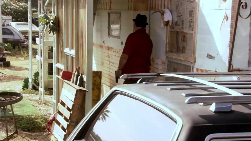 Open up, Perry! It's the police!