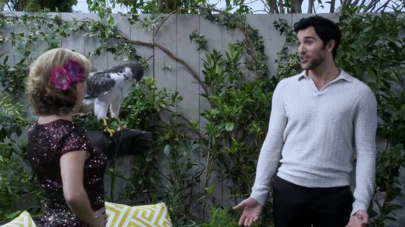 Or a falcon, rising from Burt's Falcon Shop
