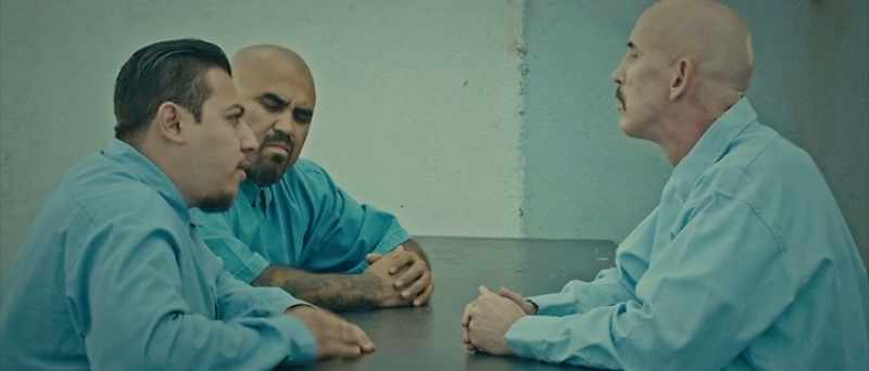 Orale carnales