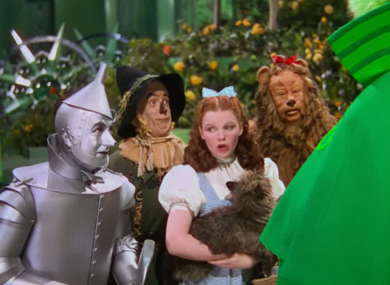 Orders are nobody can see the great Oz Not nobody not nohow