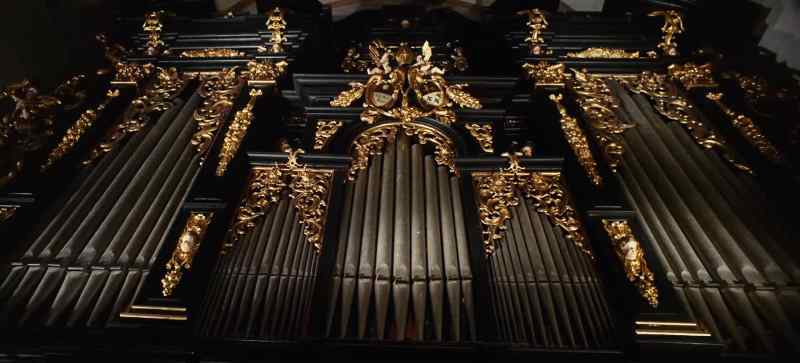 ��♪ [ Organ ]