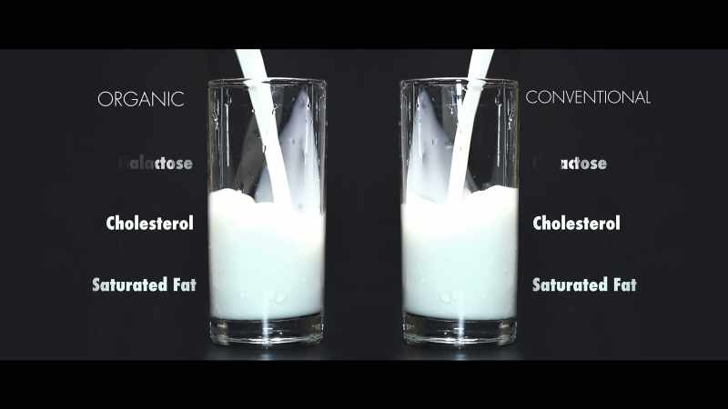 Organic dairy has just as much saturated fat