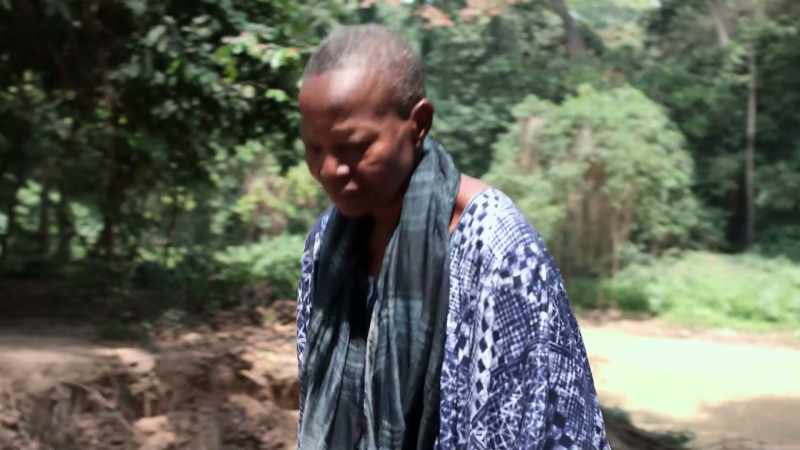 Osun River is a traditional grove