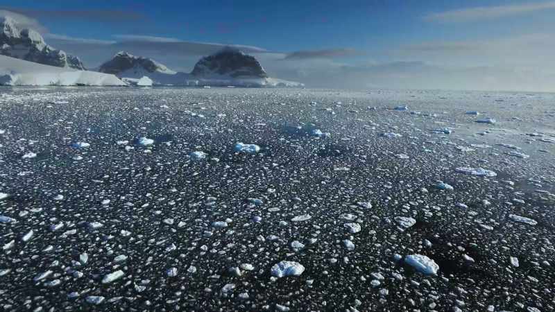 others embark on epic migrations