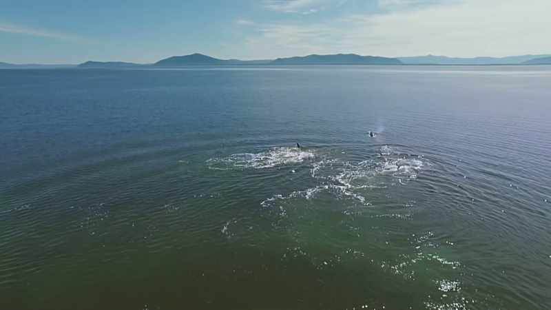 Others try to reach deeper water