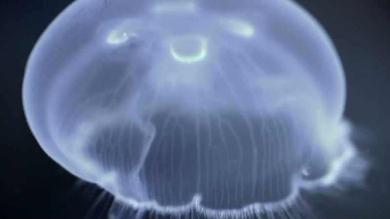 OTHERWISE, THE SURFACE TENSION