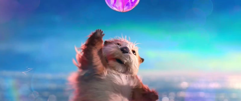 (otters chattering)