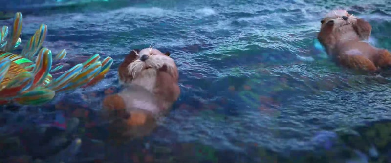 (otters chittering)