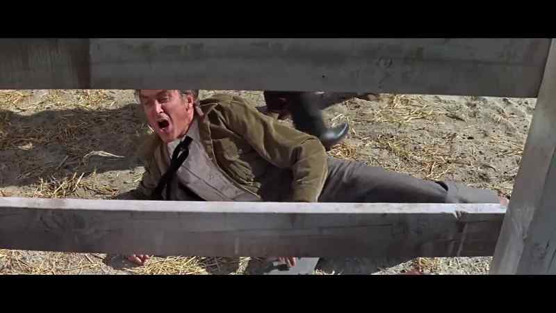 Our bull is loose. - Don't worry, ma'am, I'll get him