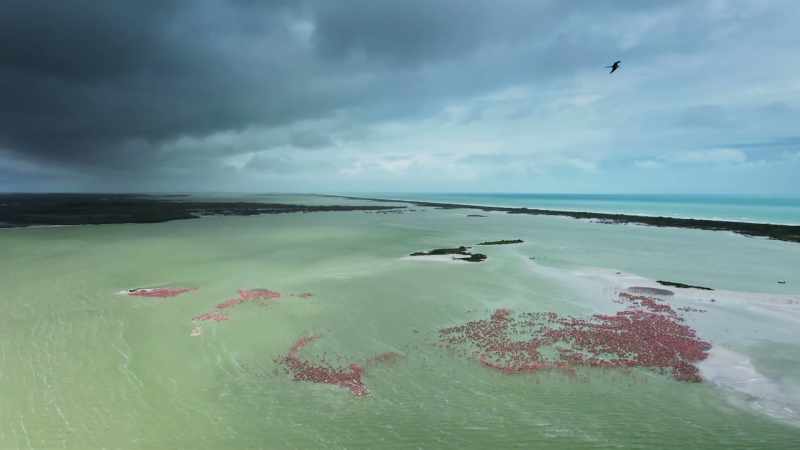 Our coasts are vulnerable places