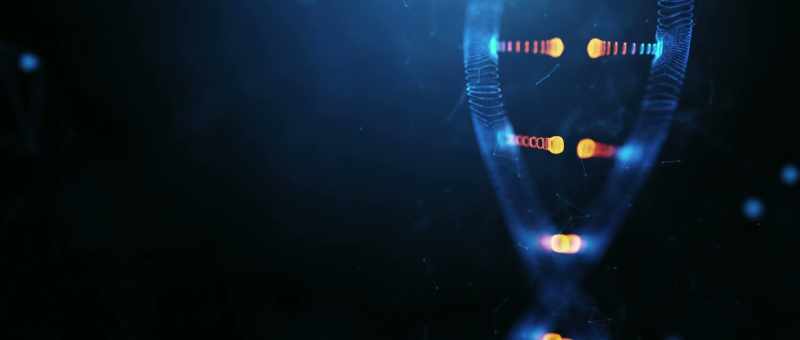 Our DNA is a stranded spiral