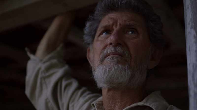 Our father, Noah, welcomed the madness