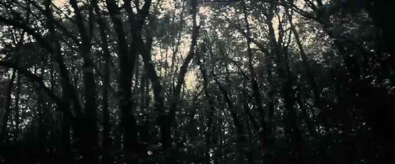 Our film jumped through the window