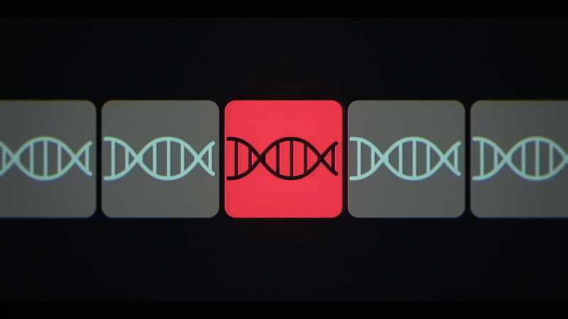 Our gene therapy doesn't integrate