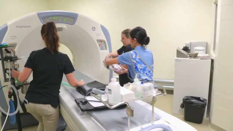 Our next step is to get a ct to look at this bone from a different perspective