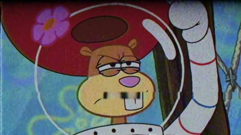 Our next story is about a young squirrel, Sandy Cheeks