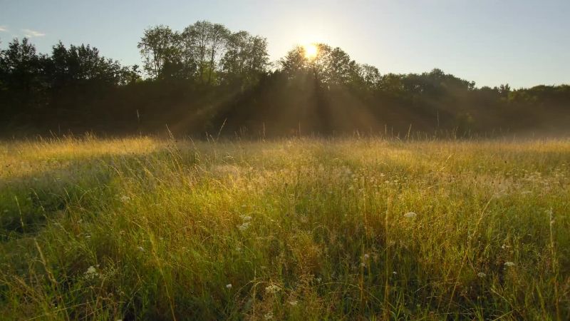 Our past could show us how we can feed ourselves