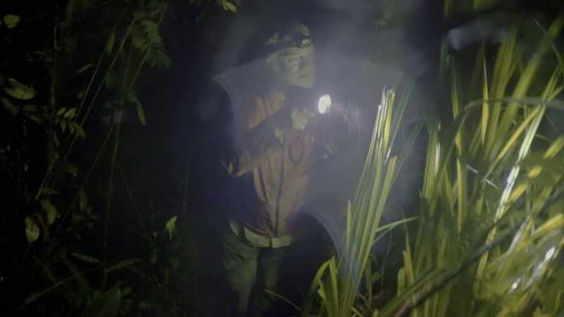 Our search zone extends from my jungle camp