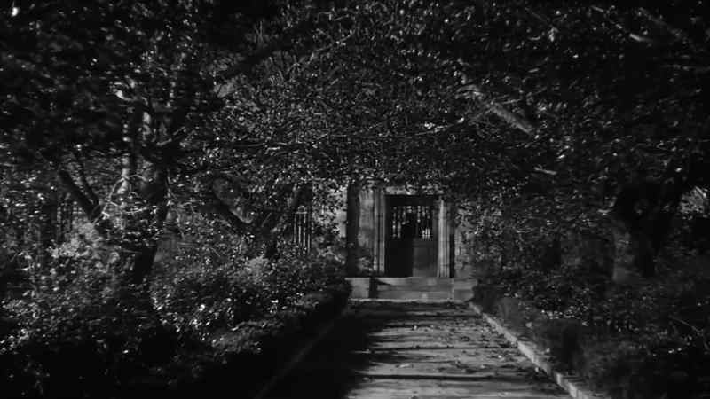 Our story takes you down this shadowed path