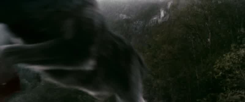 Our warriors' sharp teeth finally tore it apart, but only fire would completely destroy it