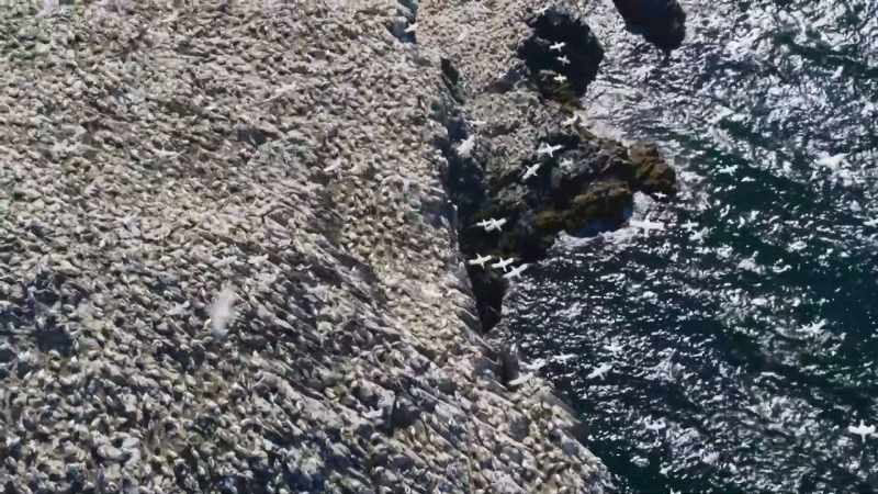 Our waters, in fact, support nearly 70%