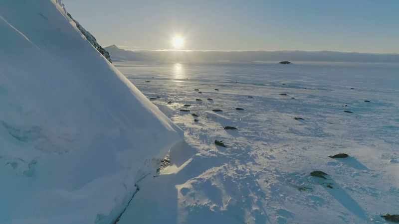 Out here on the sea ice