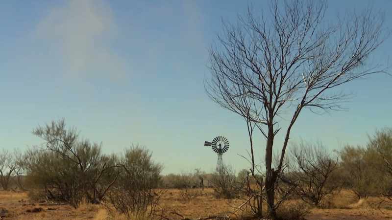 Out here, the mercury can hit close to 50 degrees Celsius