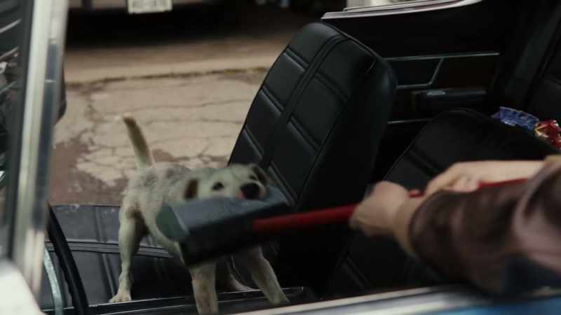 Out the car. - (dog growling)
