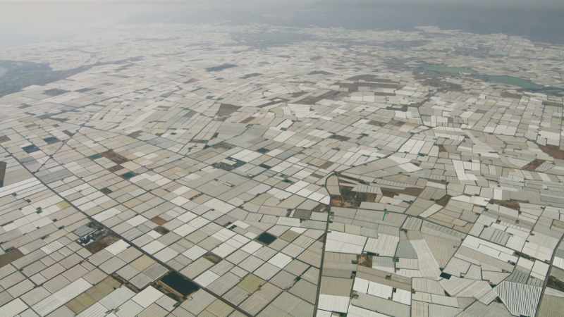 Over a million species could be wiped out