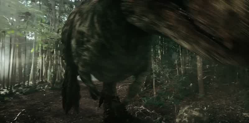 Over here, the tree!